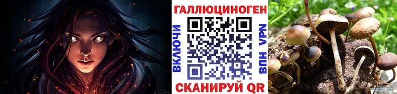 Галлюциногенные грибы Cubensis Карасук