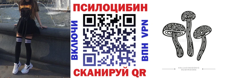 Галлюциногенные грибы мухоморы  гидра ТОР  Карасук 